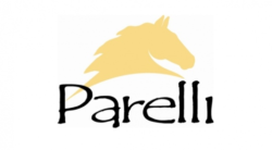 Parelli Natural Horsemanship logo